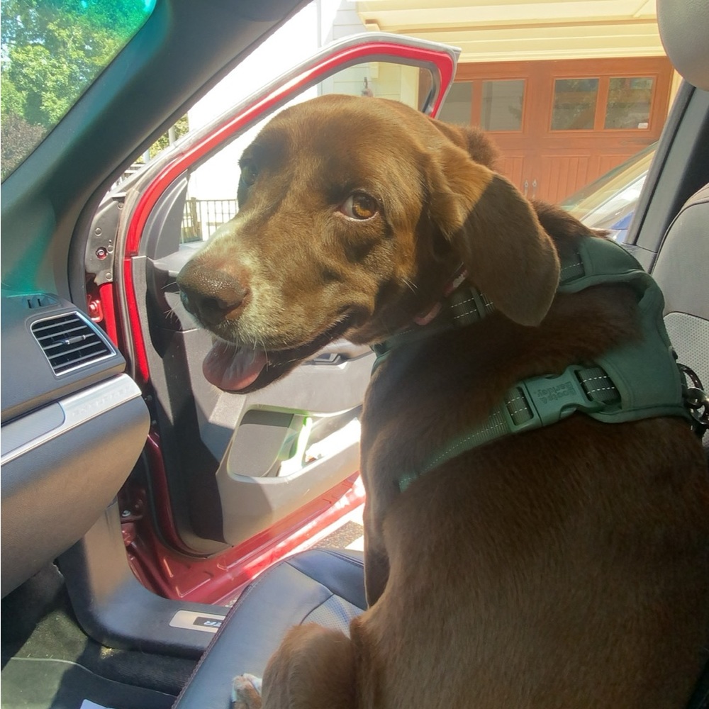 Meet your Posher, Hayden